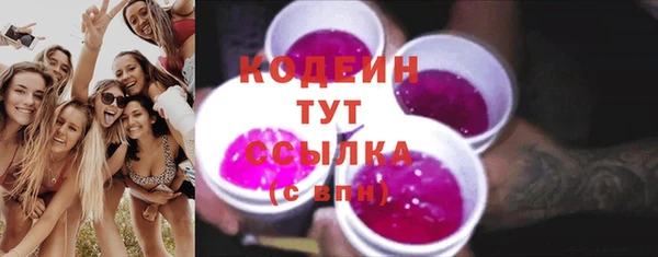 индика Краснослободск