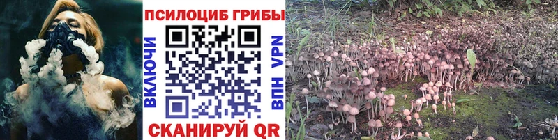 МЕГА вход  Алагир  darknet официальный сайт  Псилоцибиновые грибы Psilocybine cubensis 